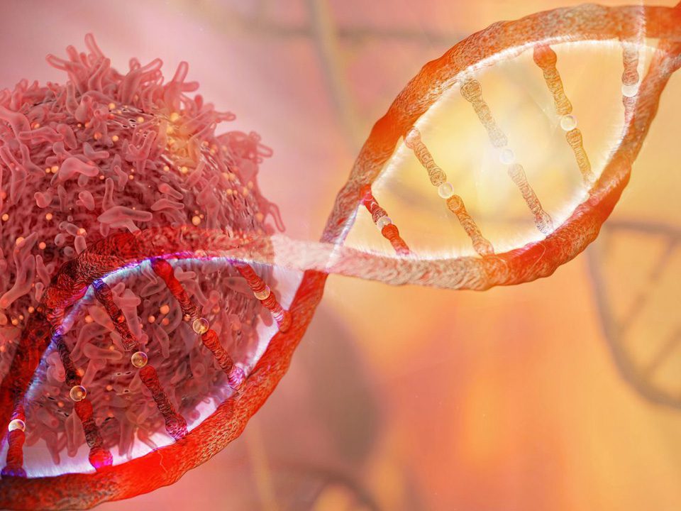 نقش ژنتیک در سرطان